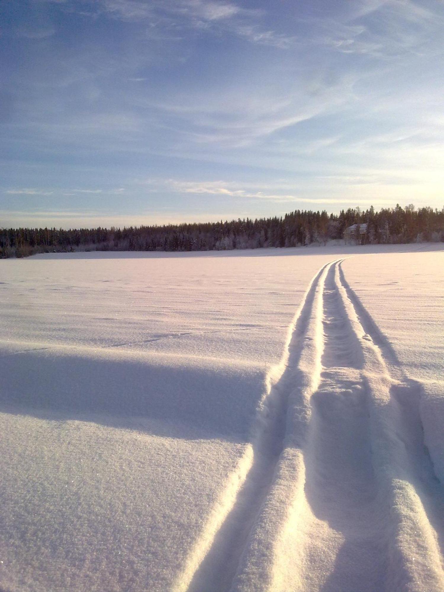 Majatalo Myoetaetuuli Pitkajarvi (Southern Finland) Exterior foto